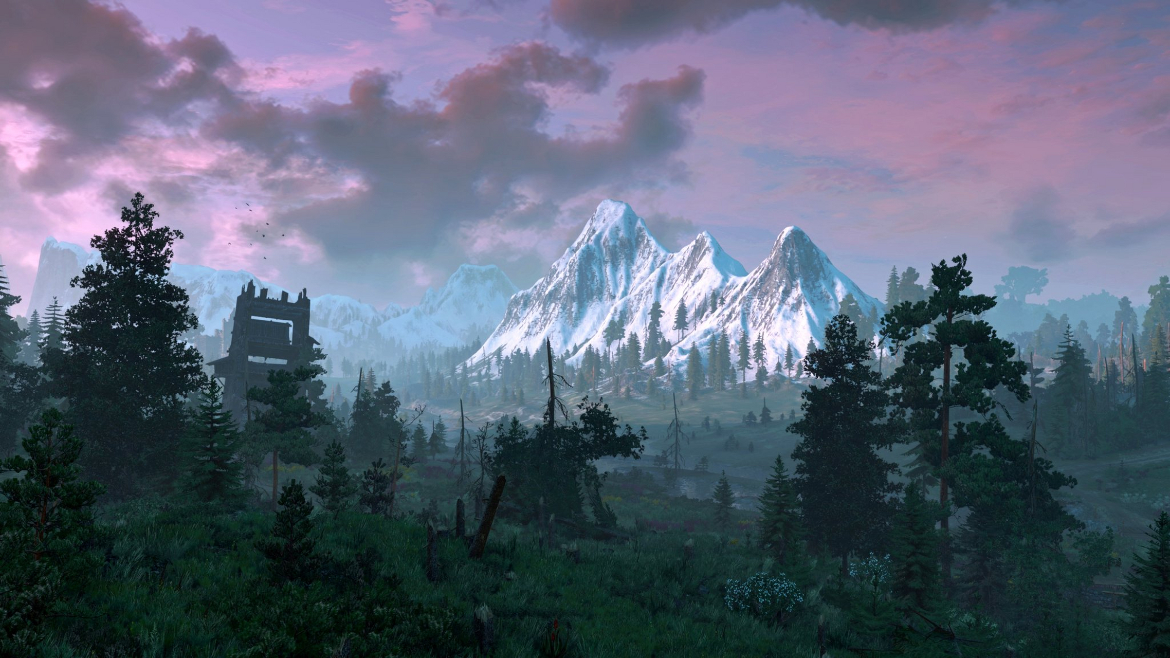 《巫师3:狂猎》风景摄影(x:novikaiba23)  #巫师3狂猎#游戏新星媒体