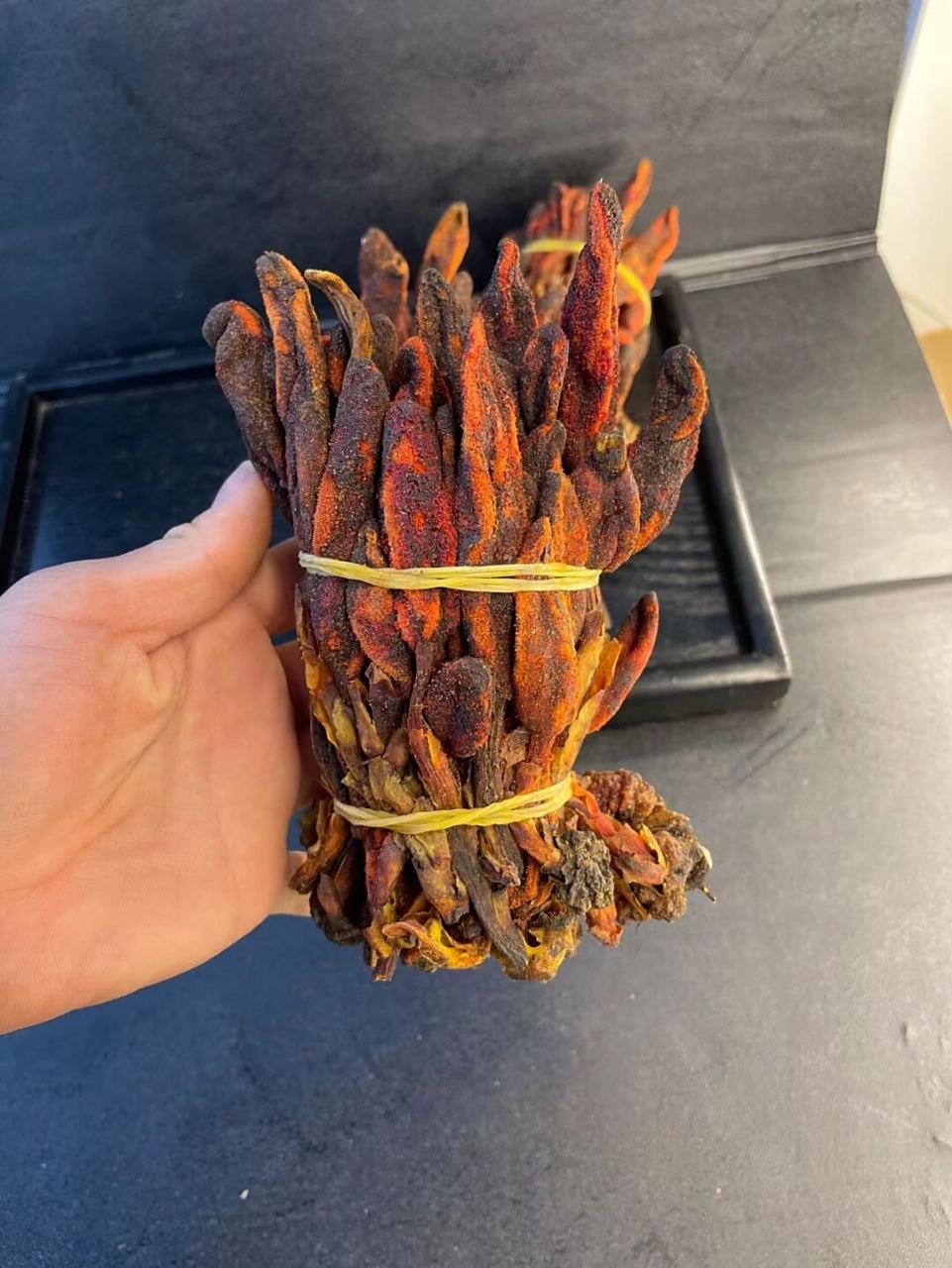 云南野生【回春草】又叫壮阳草,补肾壮阳,腰膝冷痛,四肢麻木,风湿关节