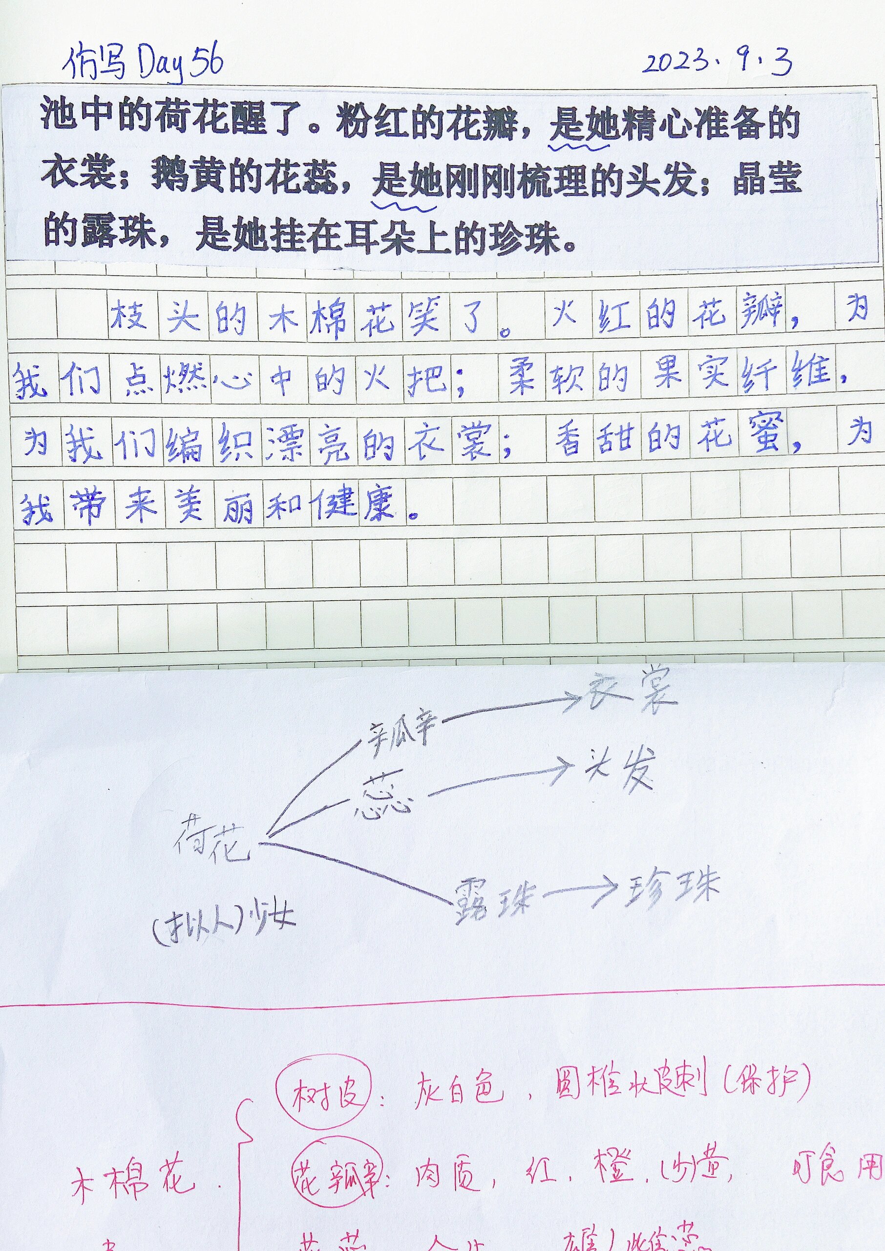 仿写安排在早上完成 当娃拿着自己分析的句子【结构思维导图】给我看