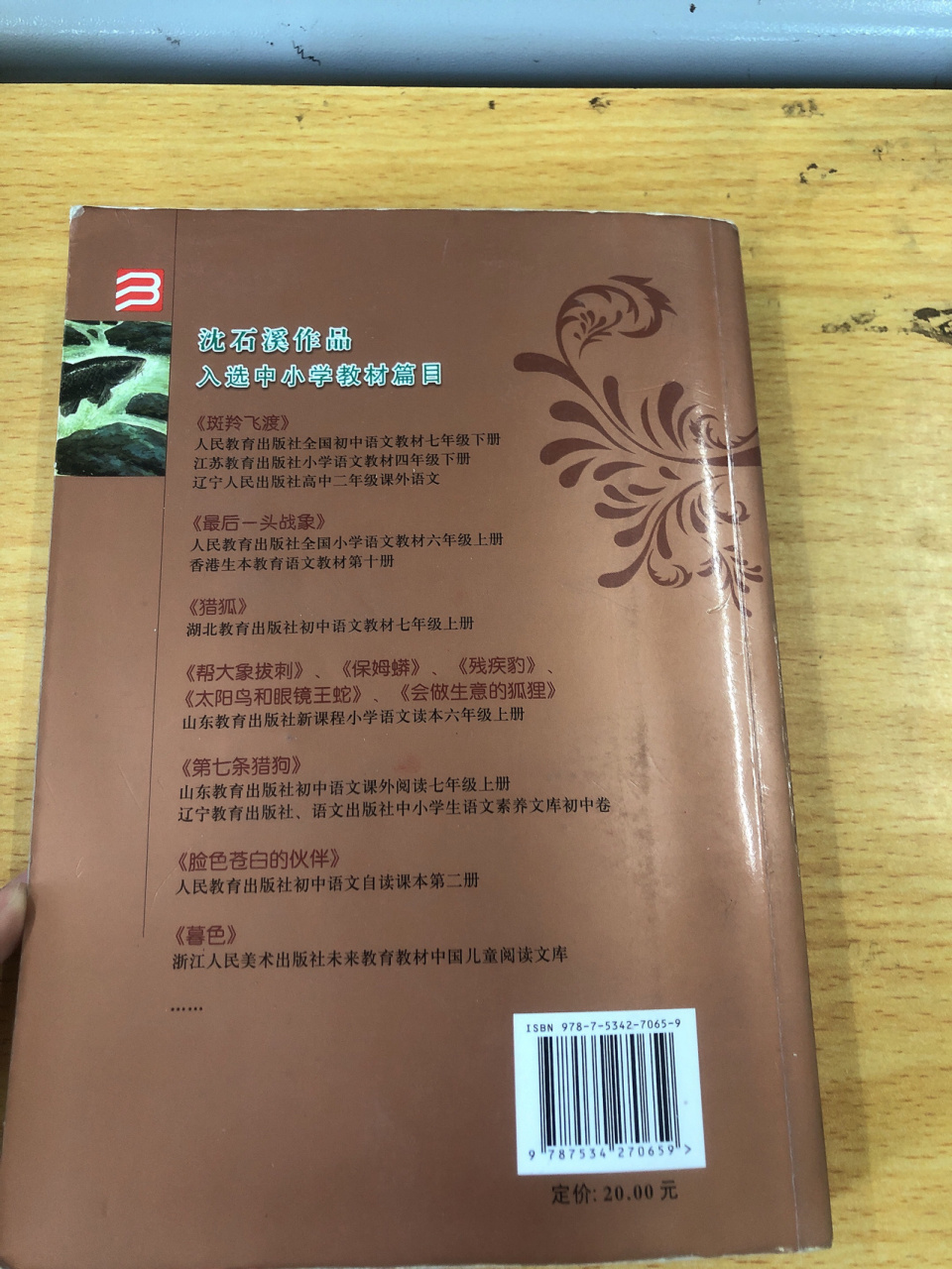 《大鱼之道》|沈石溪 今天看了治愈系的书——沈石溪《大鱼之道》 1