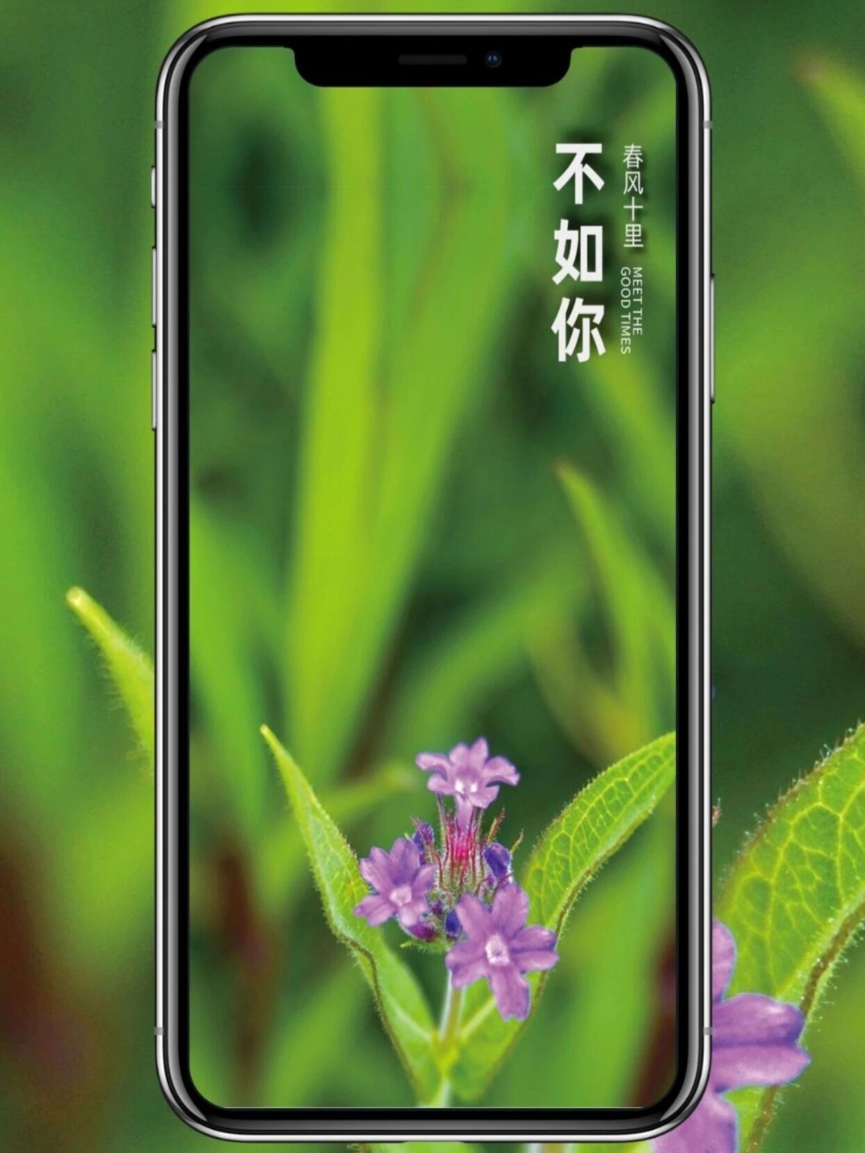 92唯美绿色护眼|03高清手机壁纸 92绿叶带着淡淡的青草香,展现