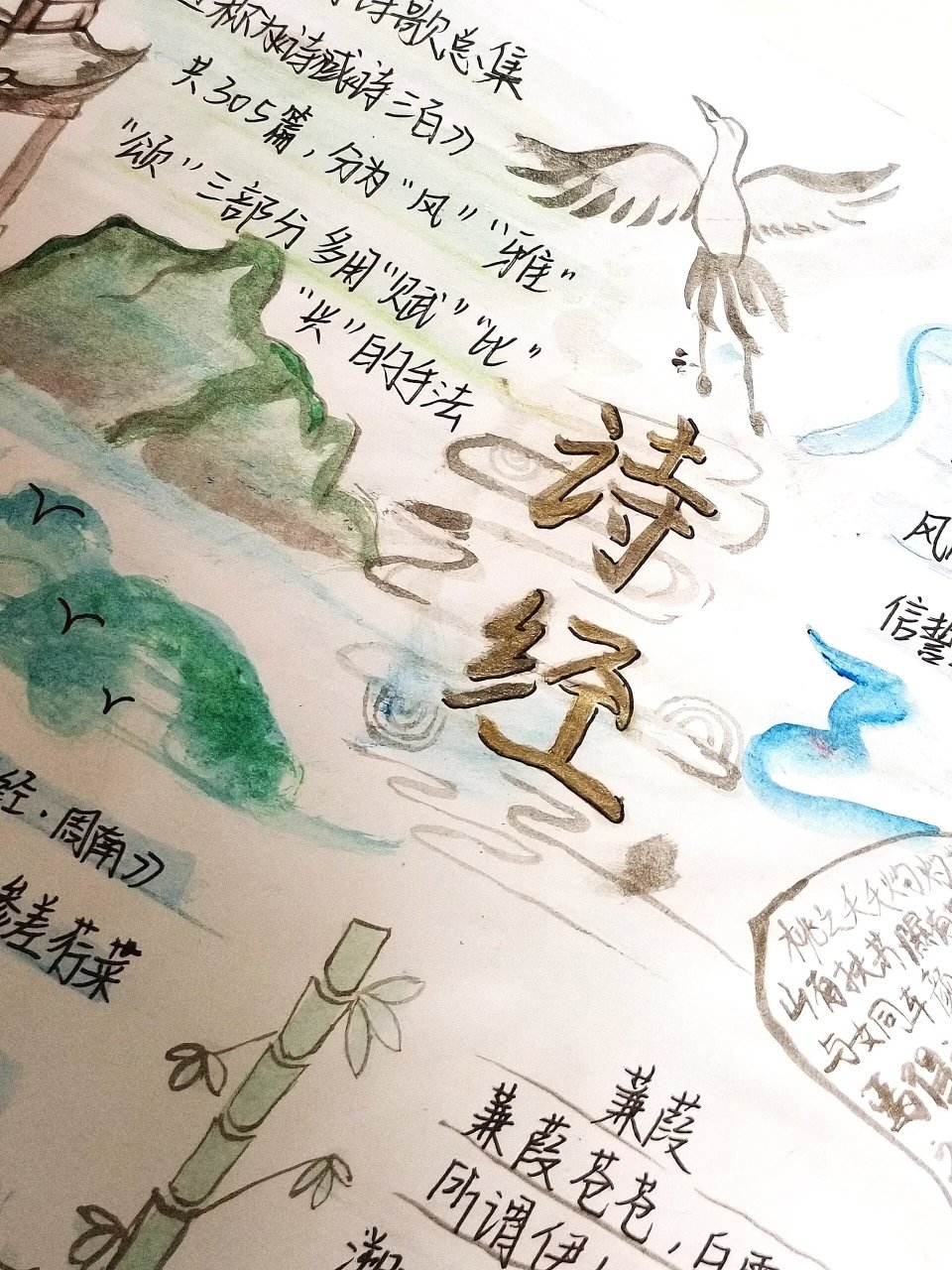 《诗经》小报 原谅我画工不精,字迹潦草