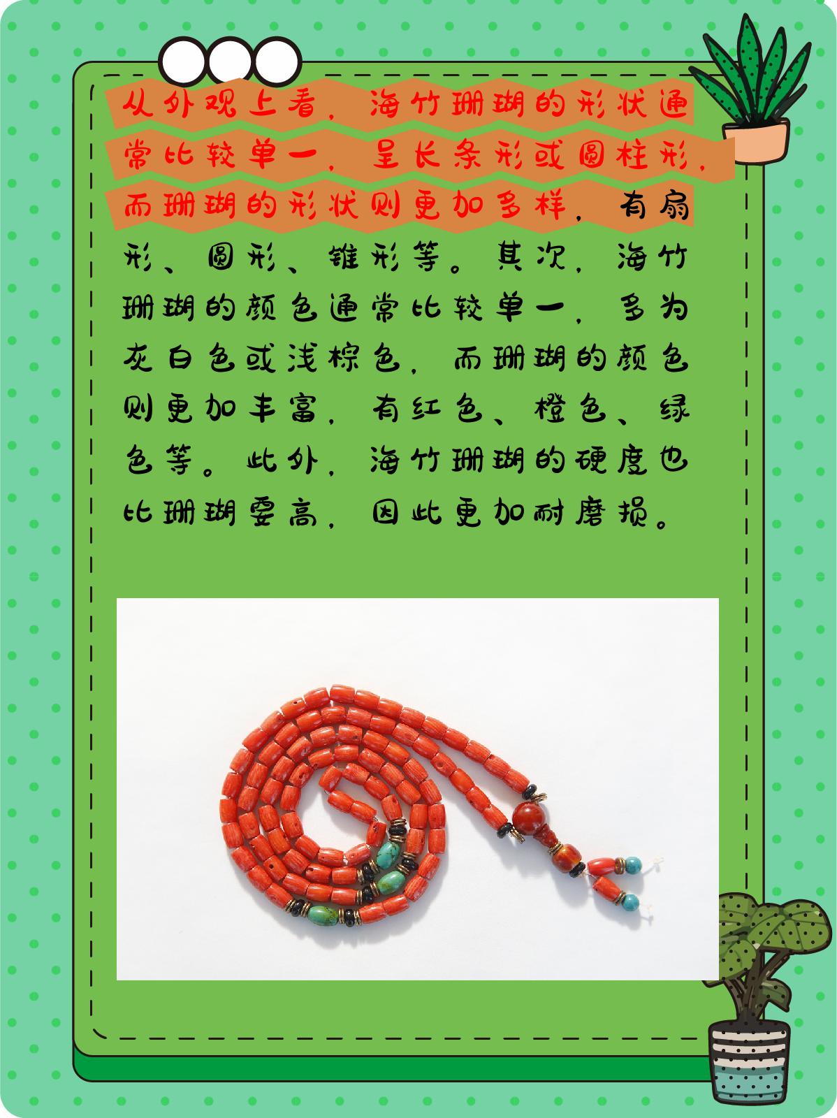 海竹珊瑚与珊瑚的区别 海竹珊瑚和珊瑚虽然都属于珊瑚的种类,但是它们
