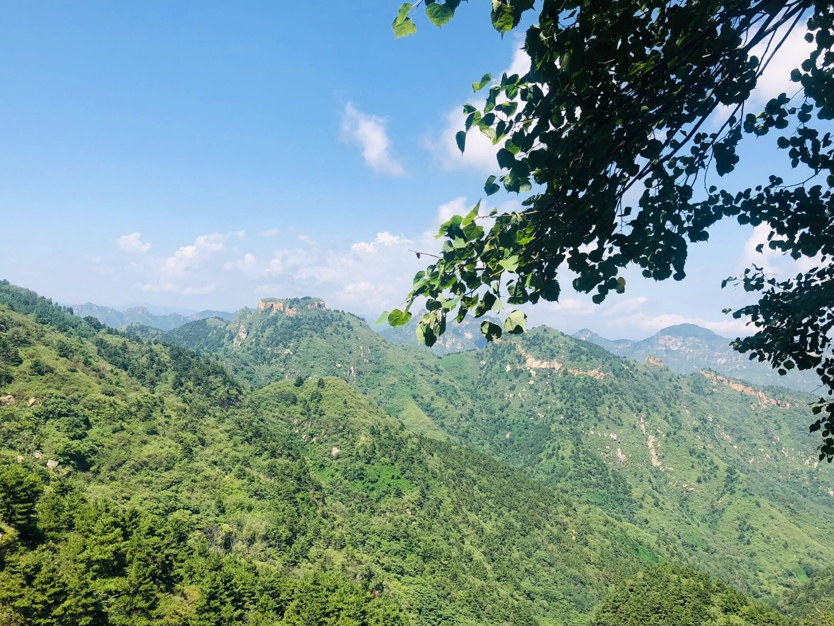 平山南滚龙沟 不错呦 今年雨水大 山上溪水潺潺 山间大树遮荫 爬山不