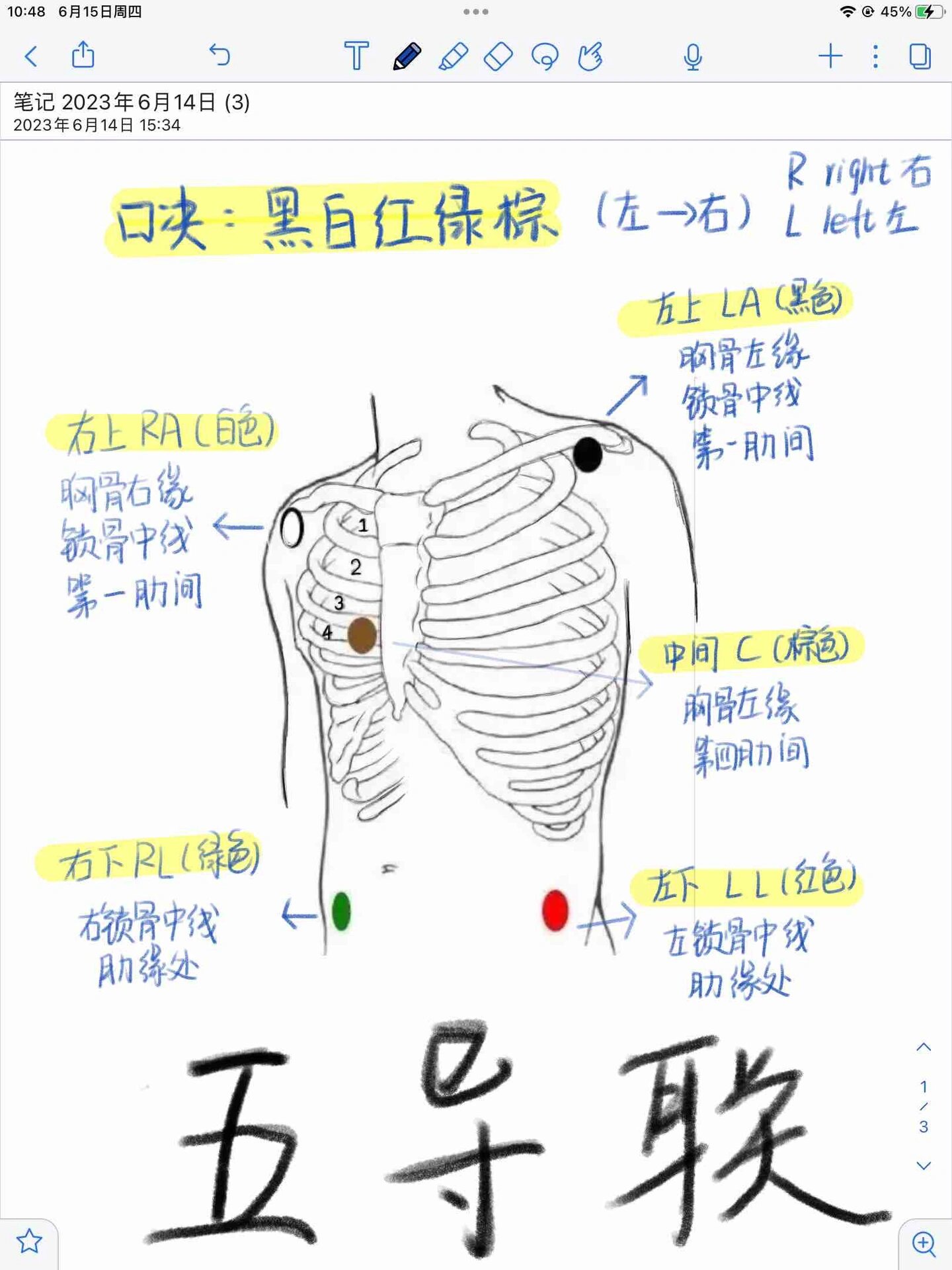 胸导联位置图片图片