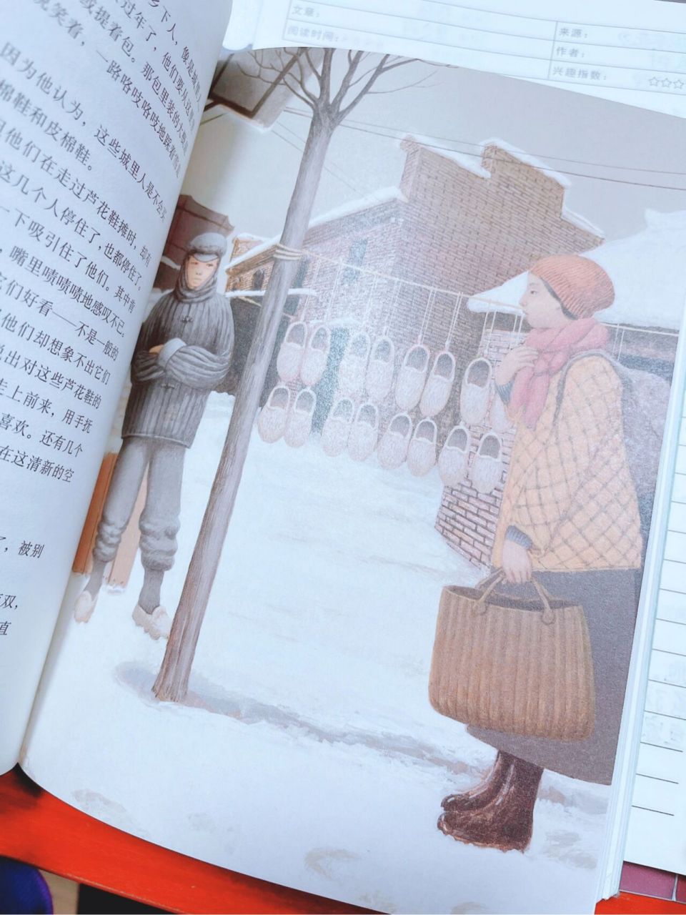 《青铜葵花》读书笔记第四章芦花鞋