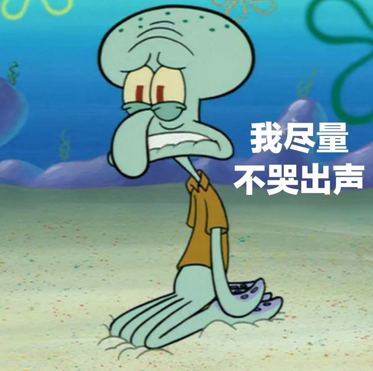 小章鱼哥表情包