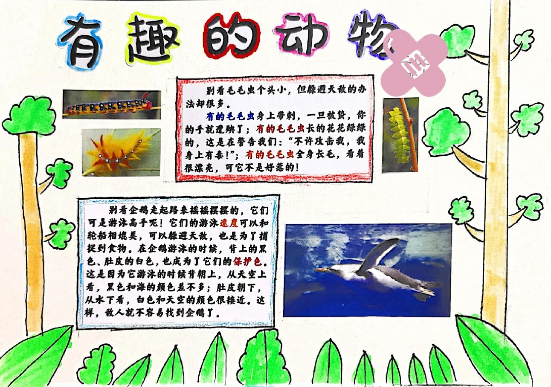 手抄报《有趣的动物》