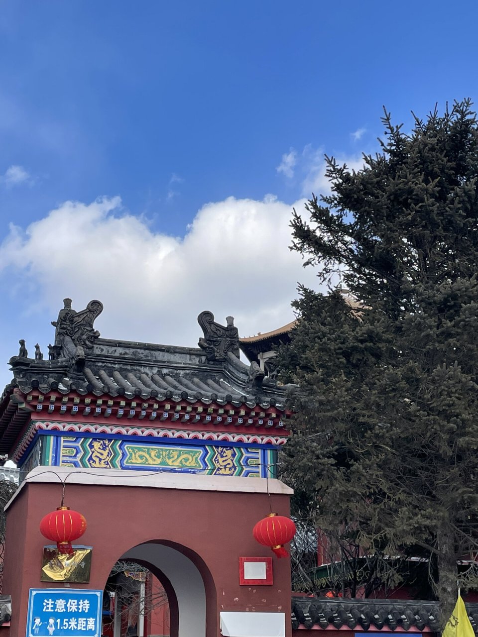 大连朝阳古寺,玉佛寺 不知道从什么时候起,过年总想来寺庙上香,为家人