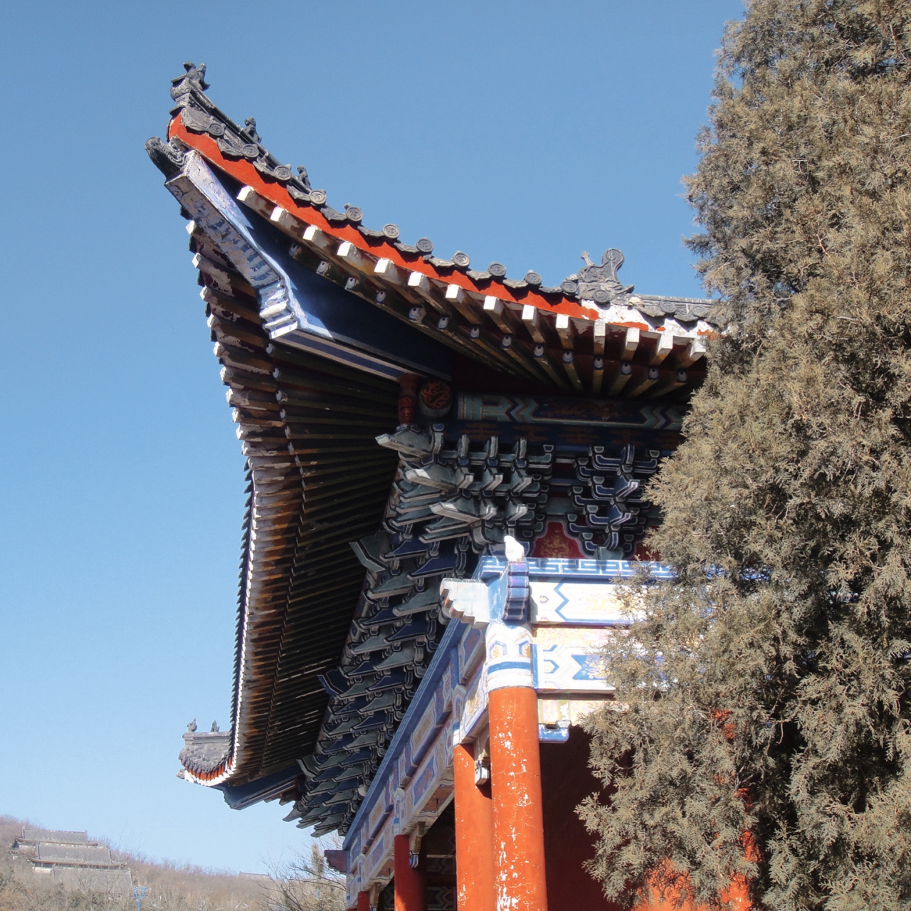 莱州大基山森林公园aaaa 7215大基山是全球华人中过,戈,柯,任等