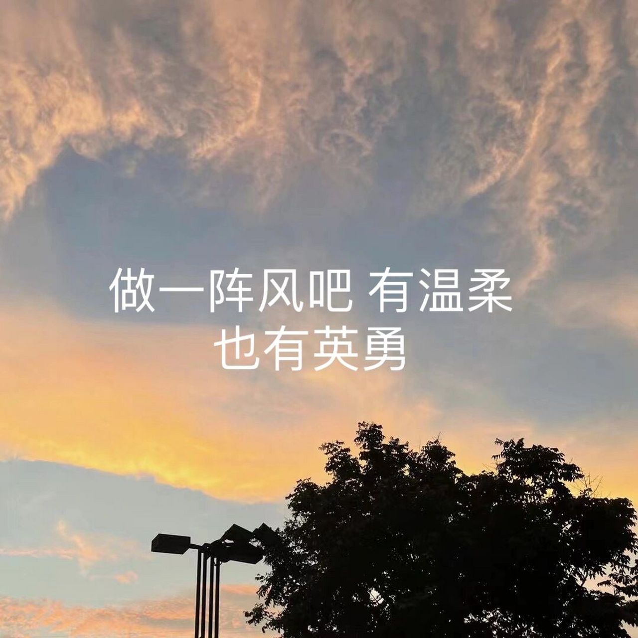 "做一阵风吧 有温柔也有英勇" 1.你是比清风明月更难得的人间至善. 2.