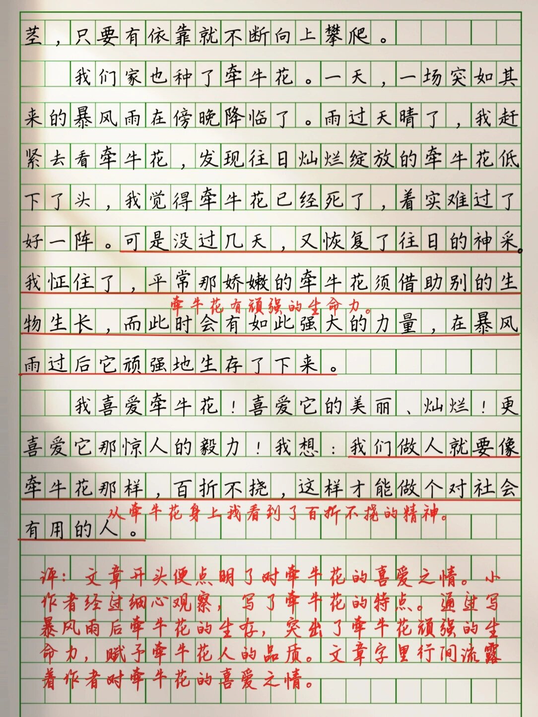 我喜欢我自己作文图片