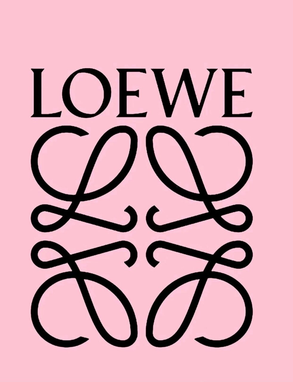 小众款loewe壁纸 喜欢罗意威的logo设计  很别致特别 