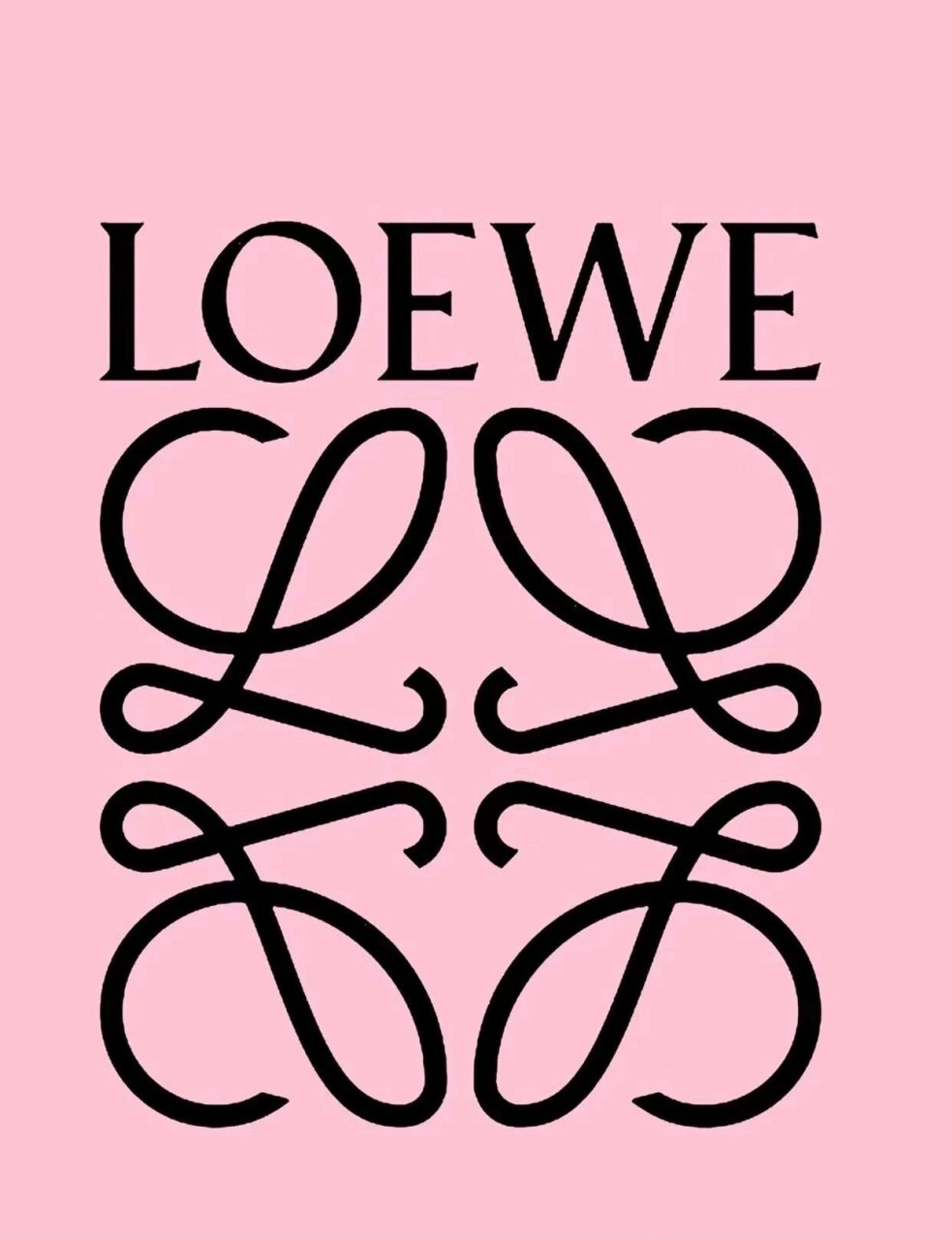小众款loewe壁纸 喜欢罗意威的logo设计  很别致特别 #罗意威# #loewe