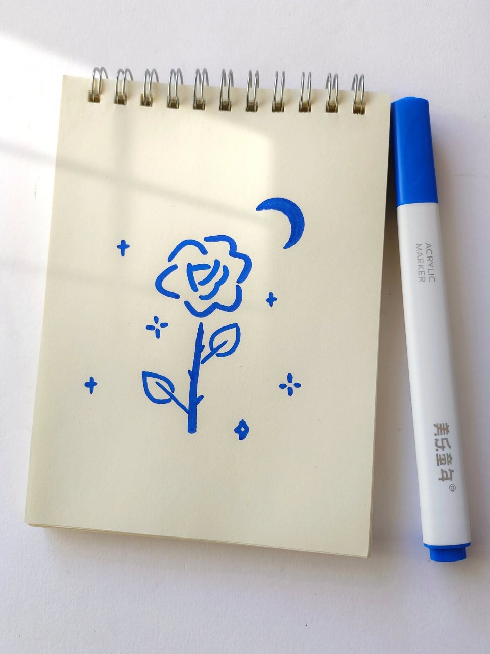 蓝色玫瑰简笔画95