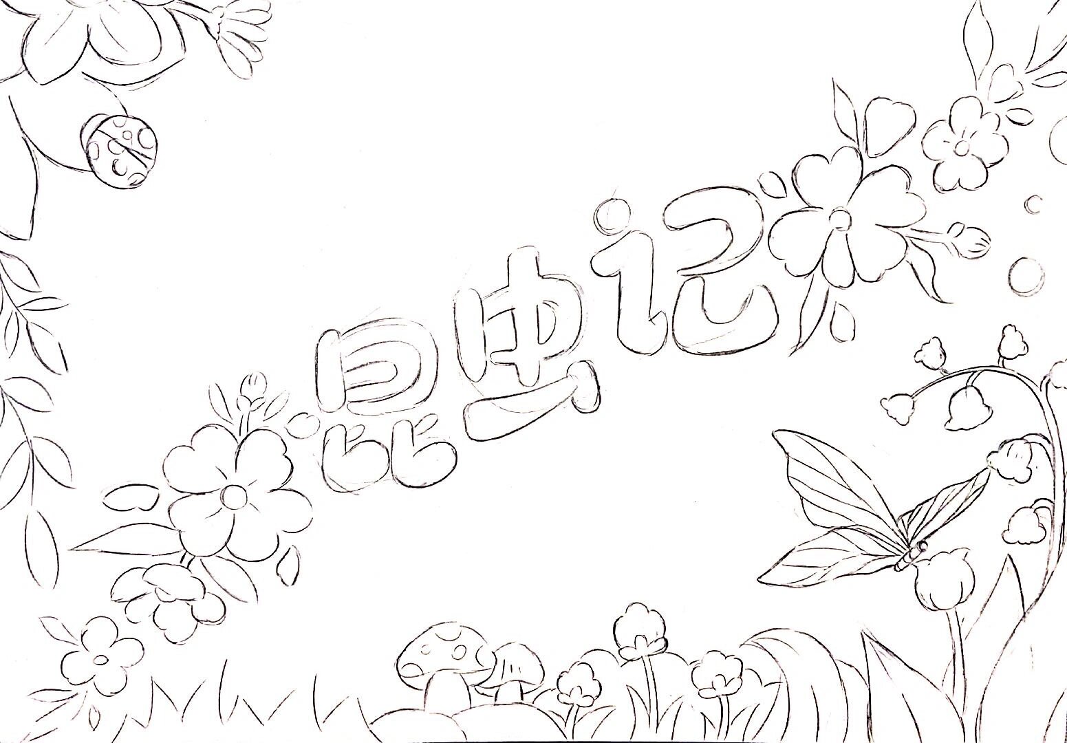 原创昆虫记手抄报🎨