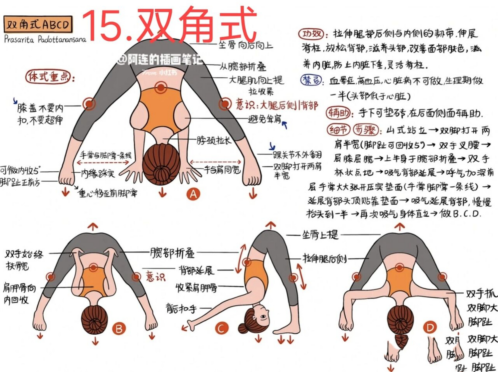 双角式)持续更新… 双角式a.
