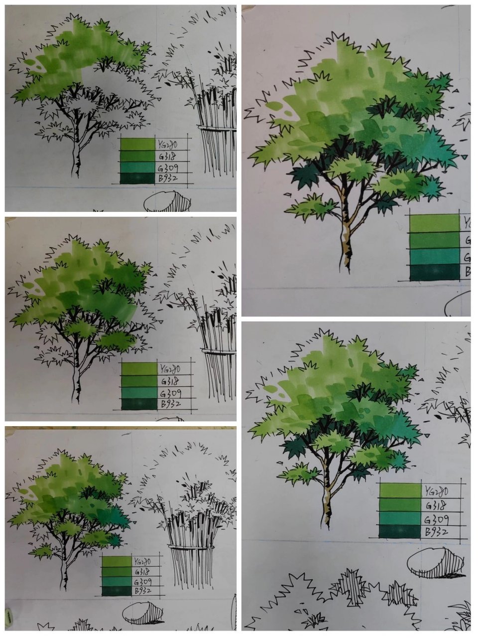 乔木马克笔的表现: 7415(1),根据乔木的生长习性,完成基本的形体