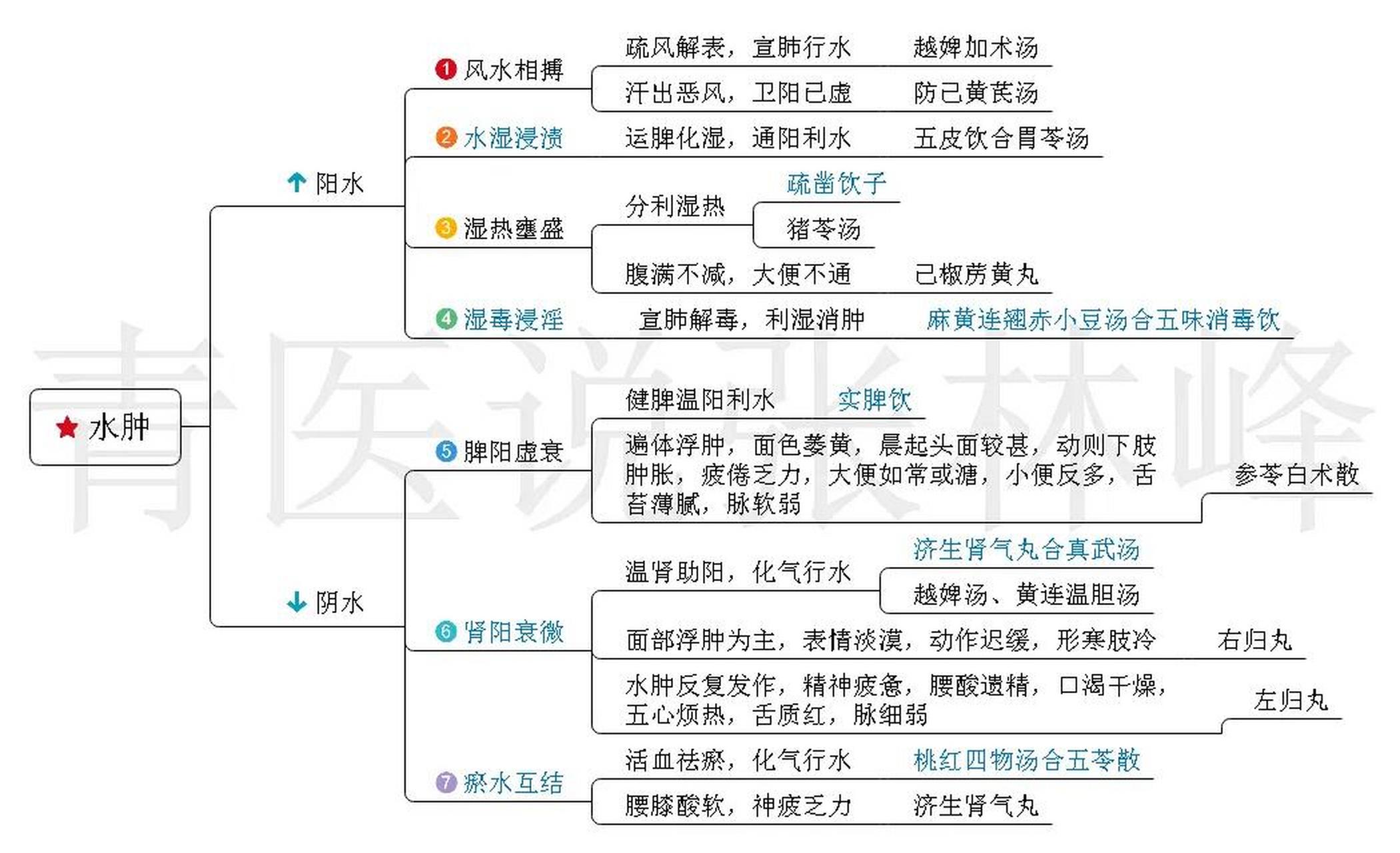 中医"肾系病症"思维导图