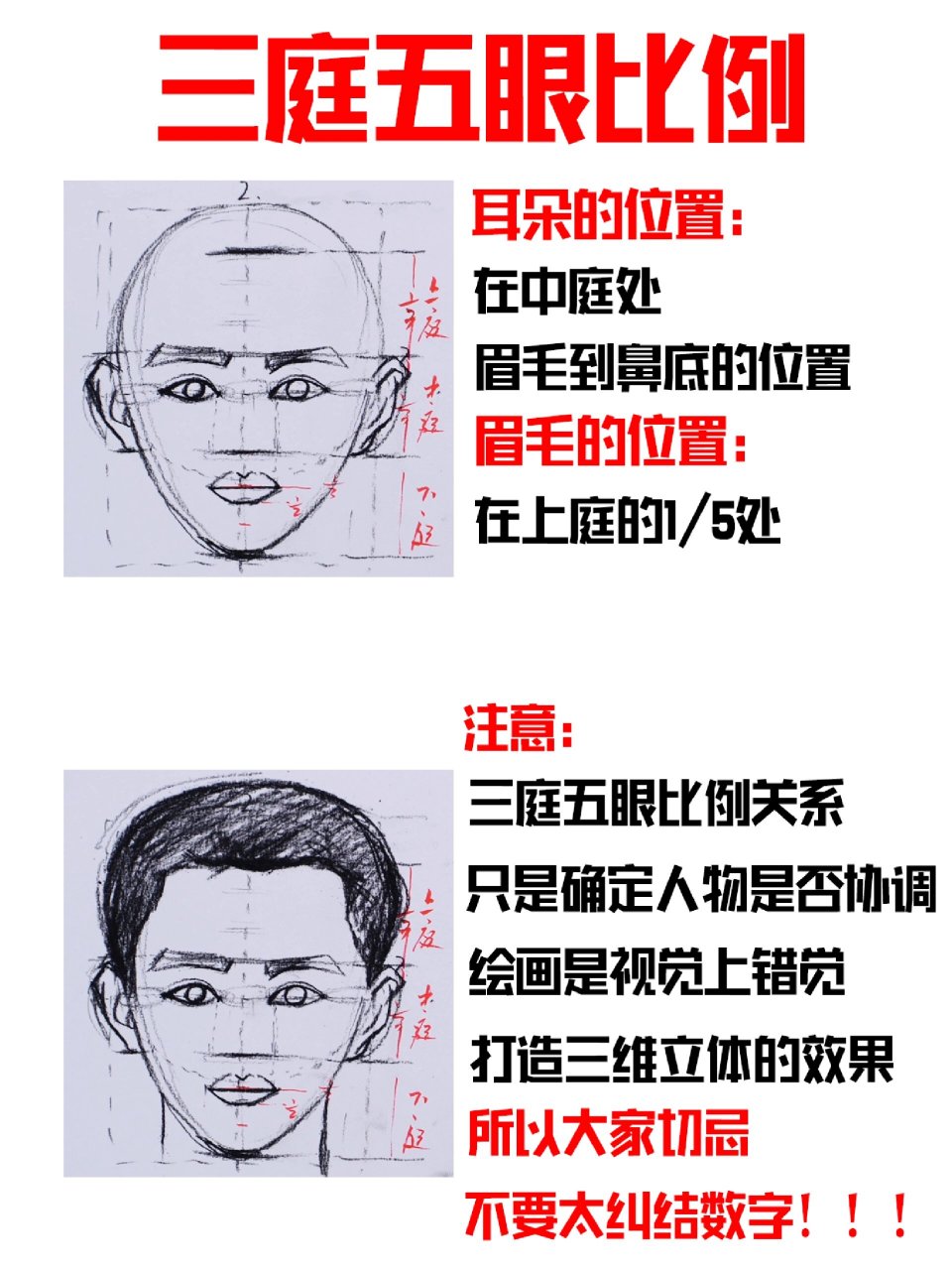 三庭五眼图片 绘画图片