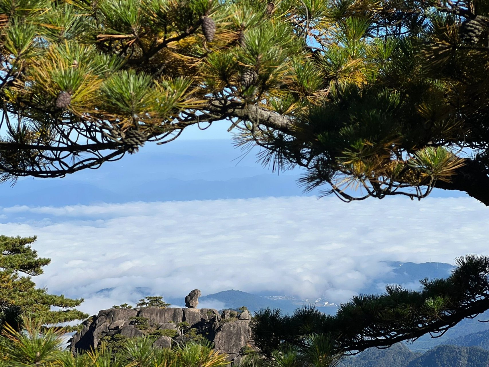 黃山頂食宿推薦(看雲海)92 按照2日遊路線第一天玉屏索道上,第二天