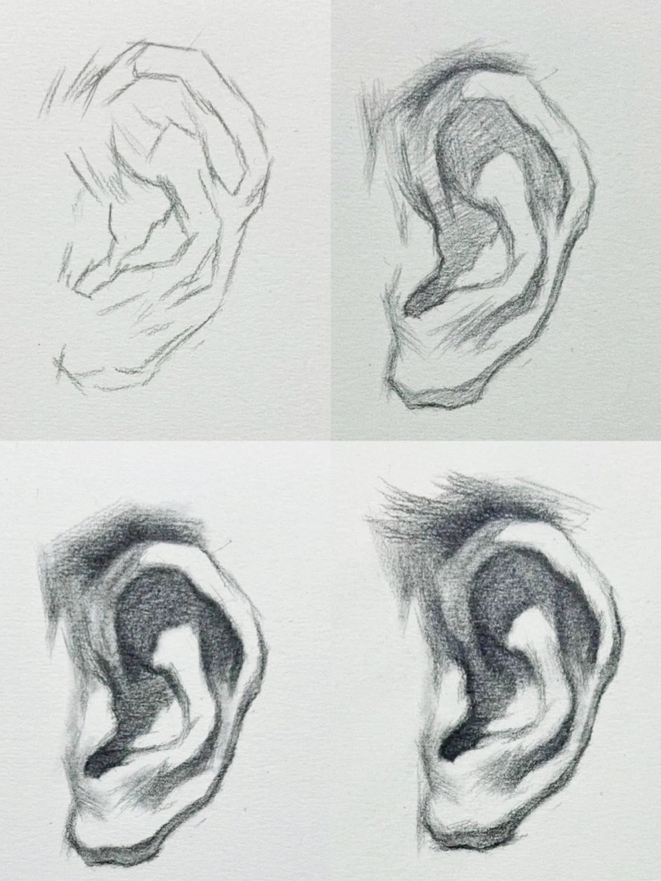 素描耳朵的画法,快拿起笔来学吧.