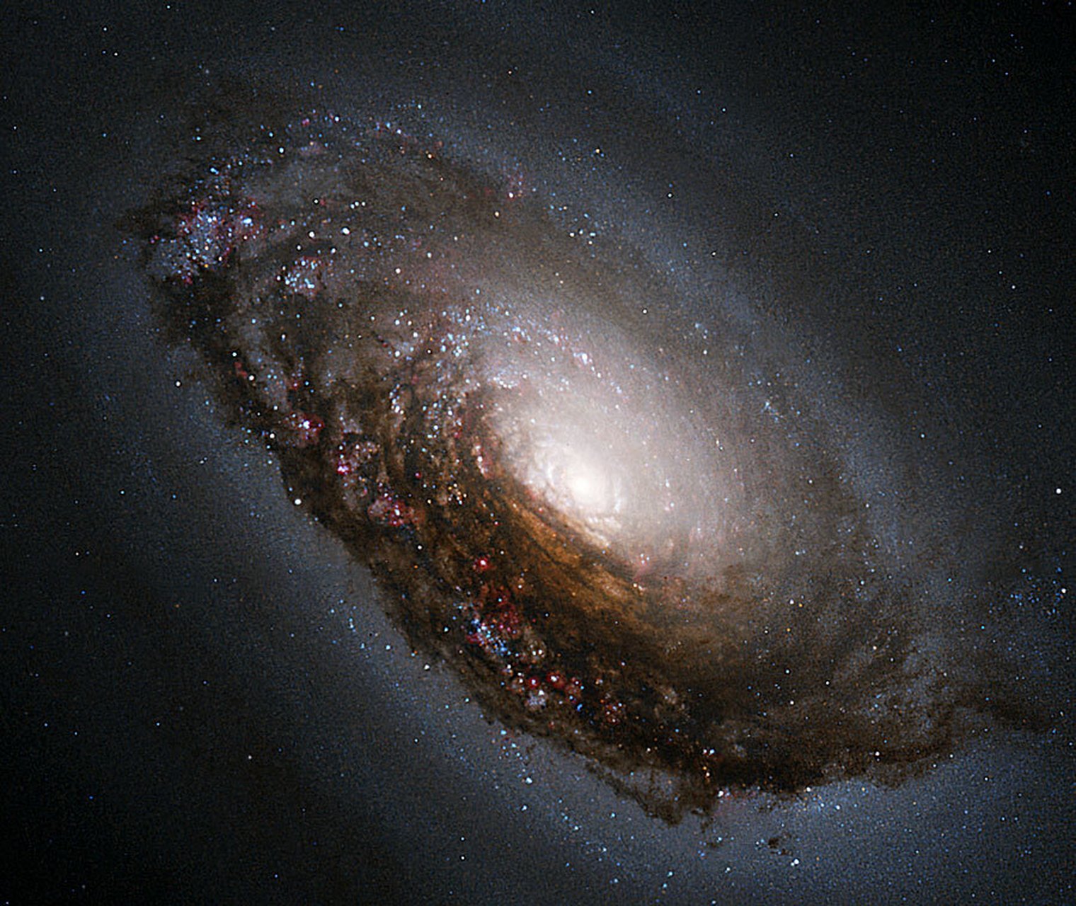 m65星系图片