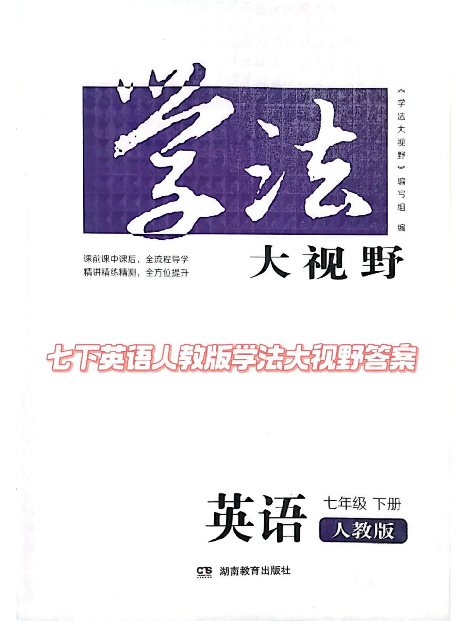 七下英语人教版学法大视野答案