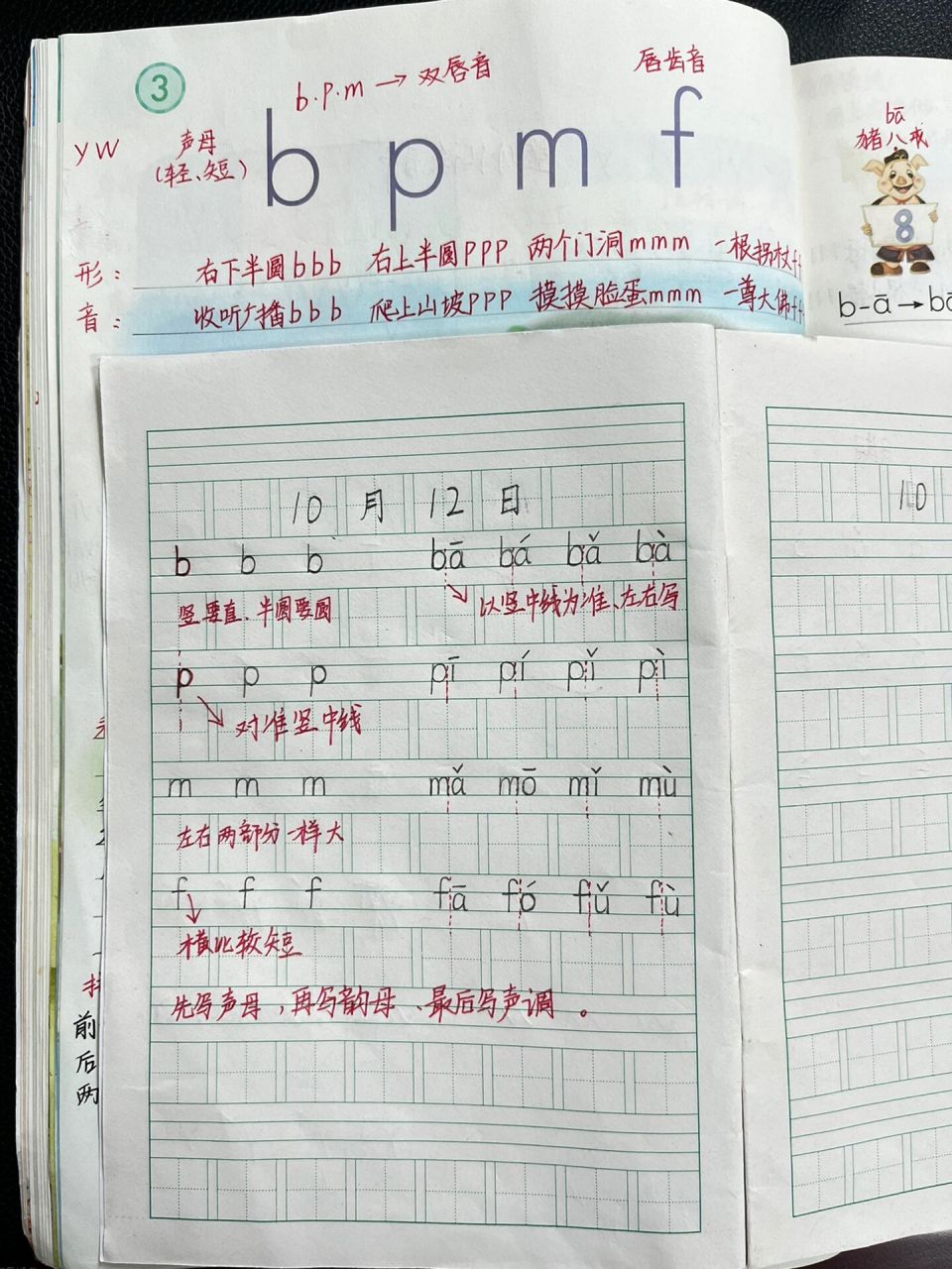 一年级语文上拼音《bpmf》书写规范 学生易错点: 1.b的竖写不直. 2.