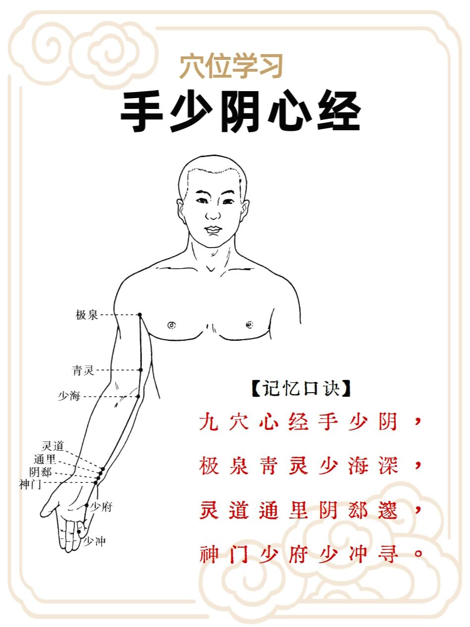 手少阴心经循行图片