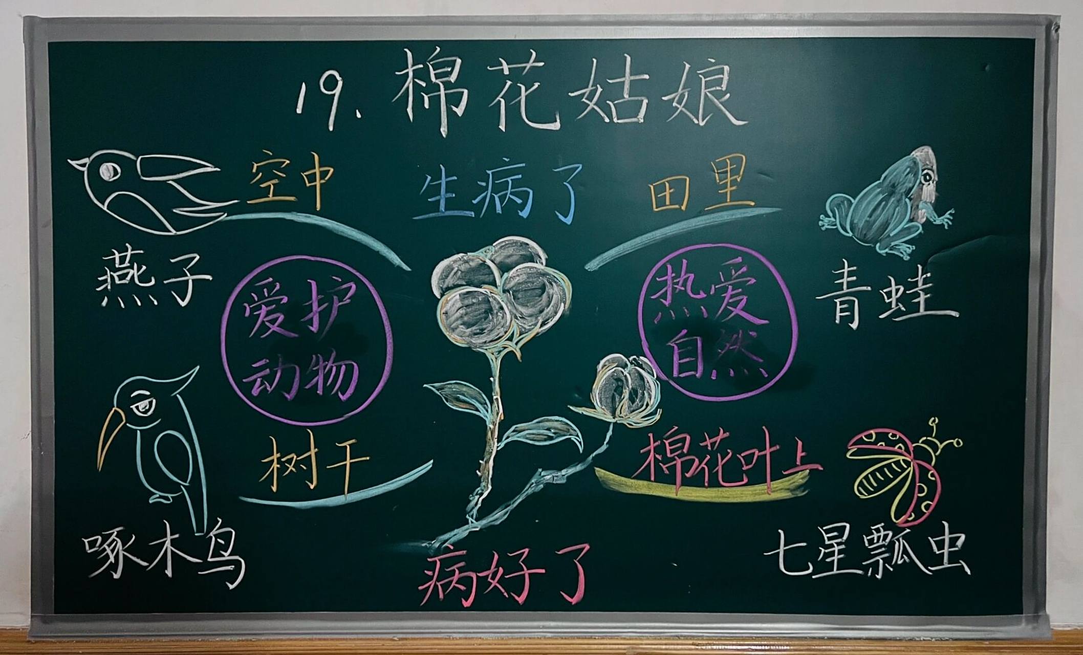 板书设计|一(下)《棉花姑娘》 《棉花姑娘》选自部编版教材一年级下册