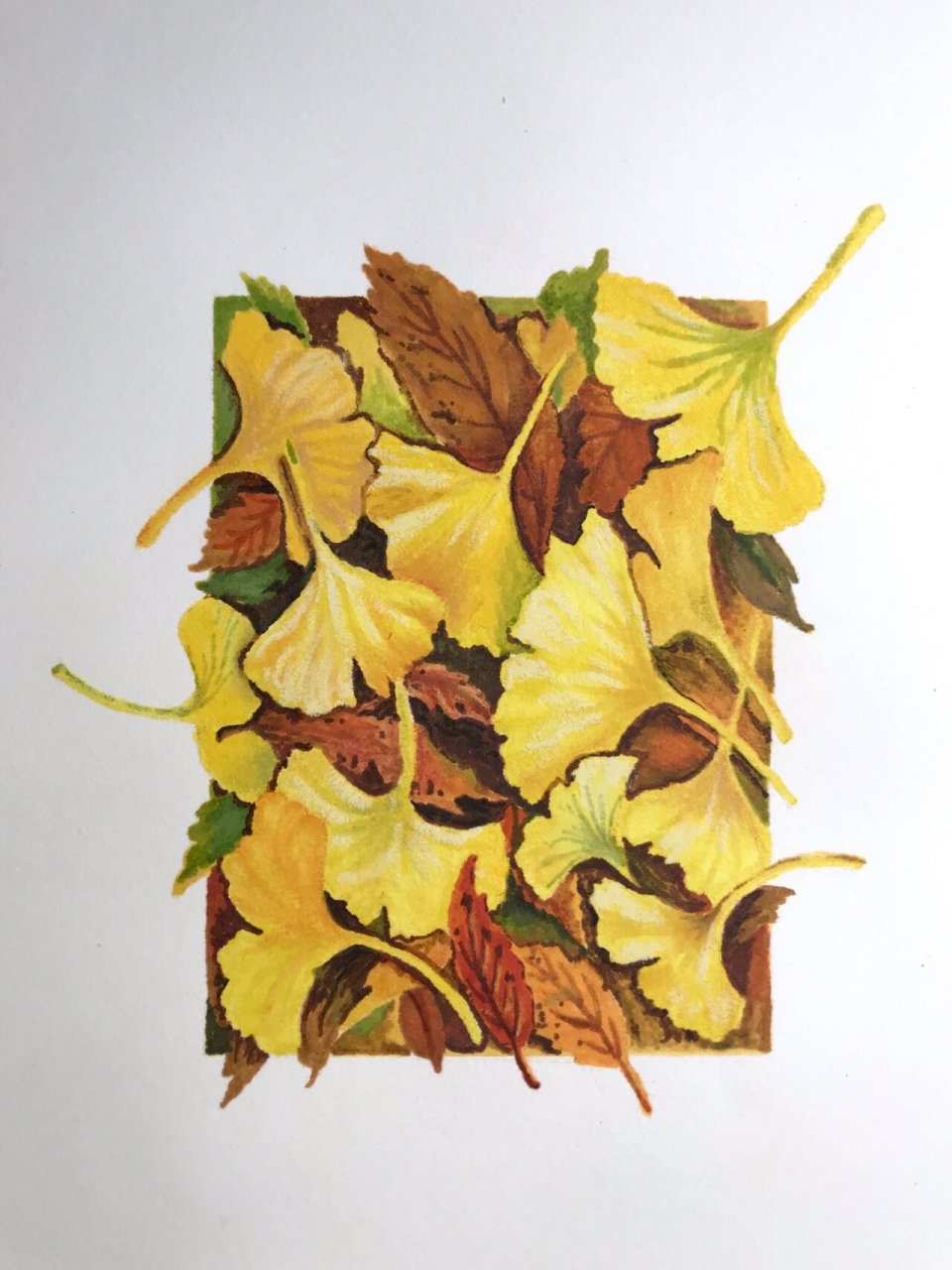 马克笔画|《银杏叶94》·附带线稿&色卡 掉进了马克笔的新坑  马克