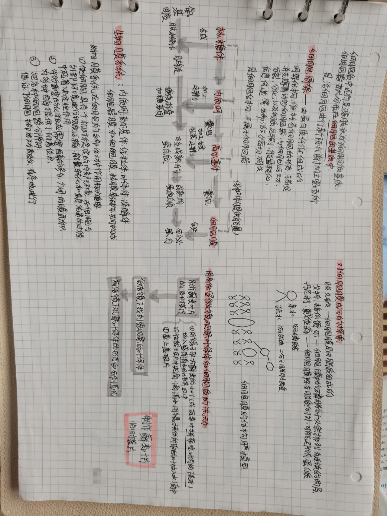 高一生物第三章 细胞的基本结构 思维导图