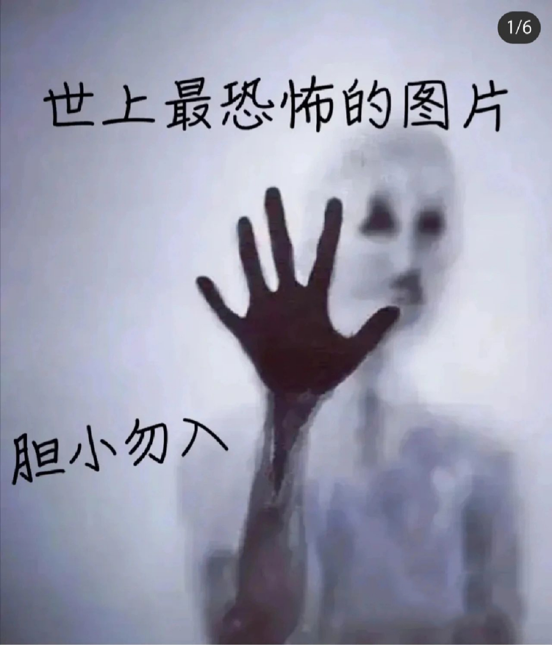 恐怖图片0505 吓死人