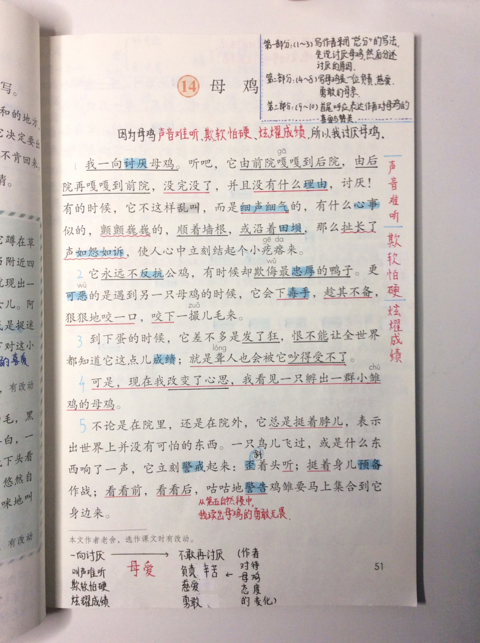 四年级下册学习笔记第14课《母鸡》         看不太清楚的同学可以