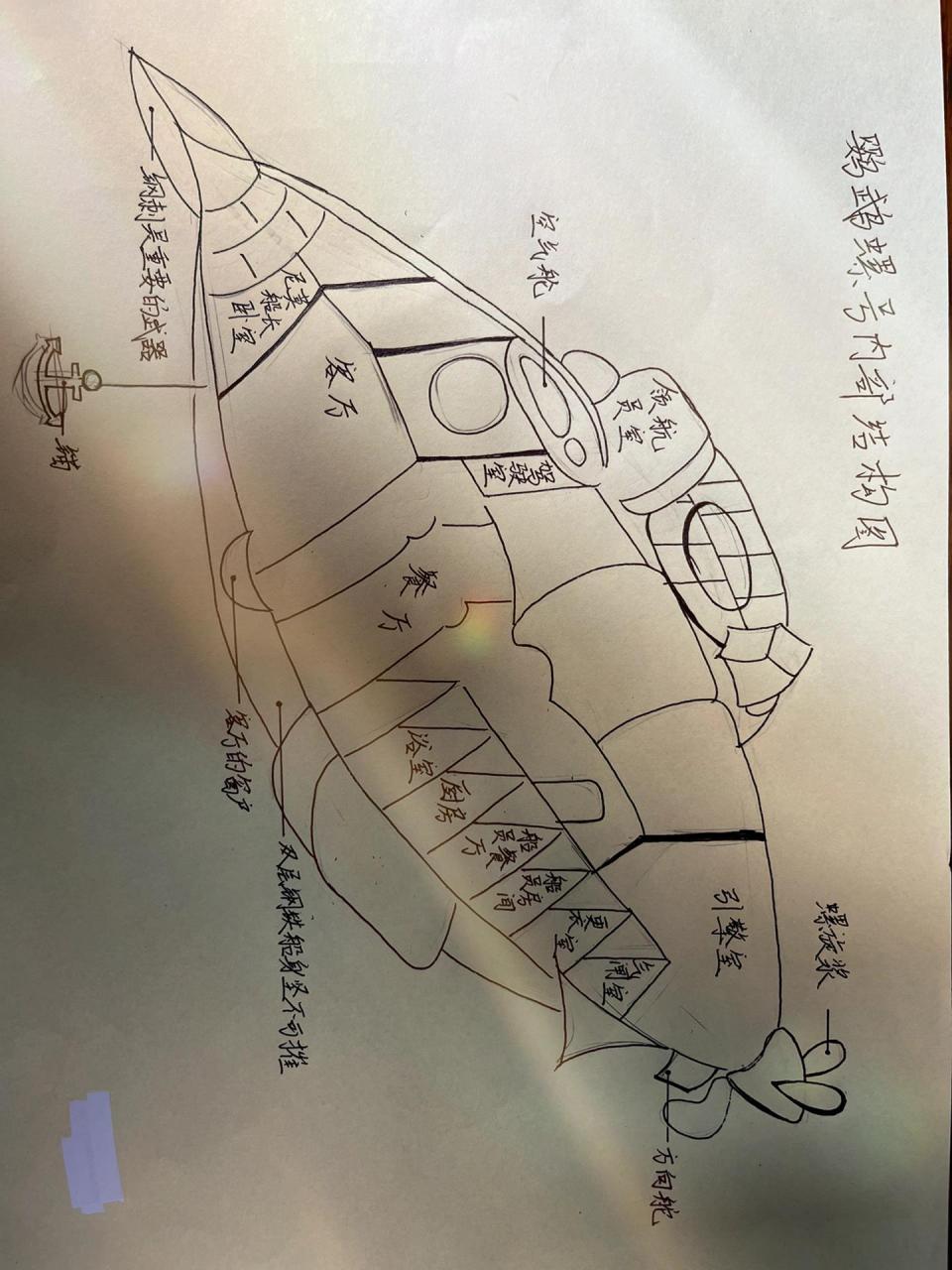 鹦鹉螺号构造图 手绘图片