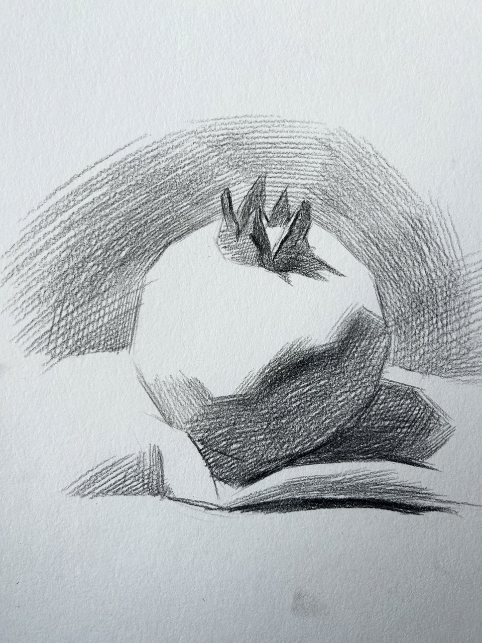 素描基础静物 石榴图文