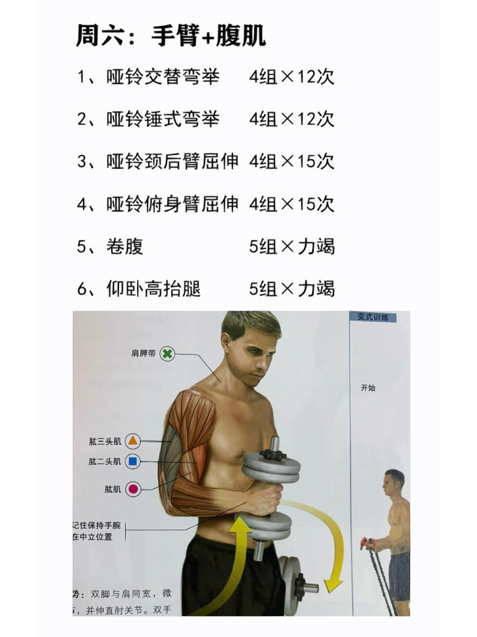 哑铃作为健身初学者者入门的锻炼神器,初学者可通过 哑铃,更好地找到