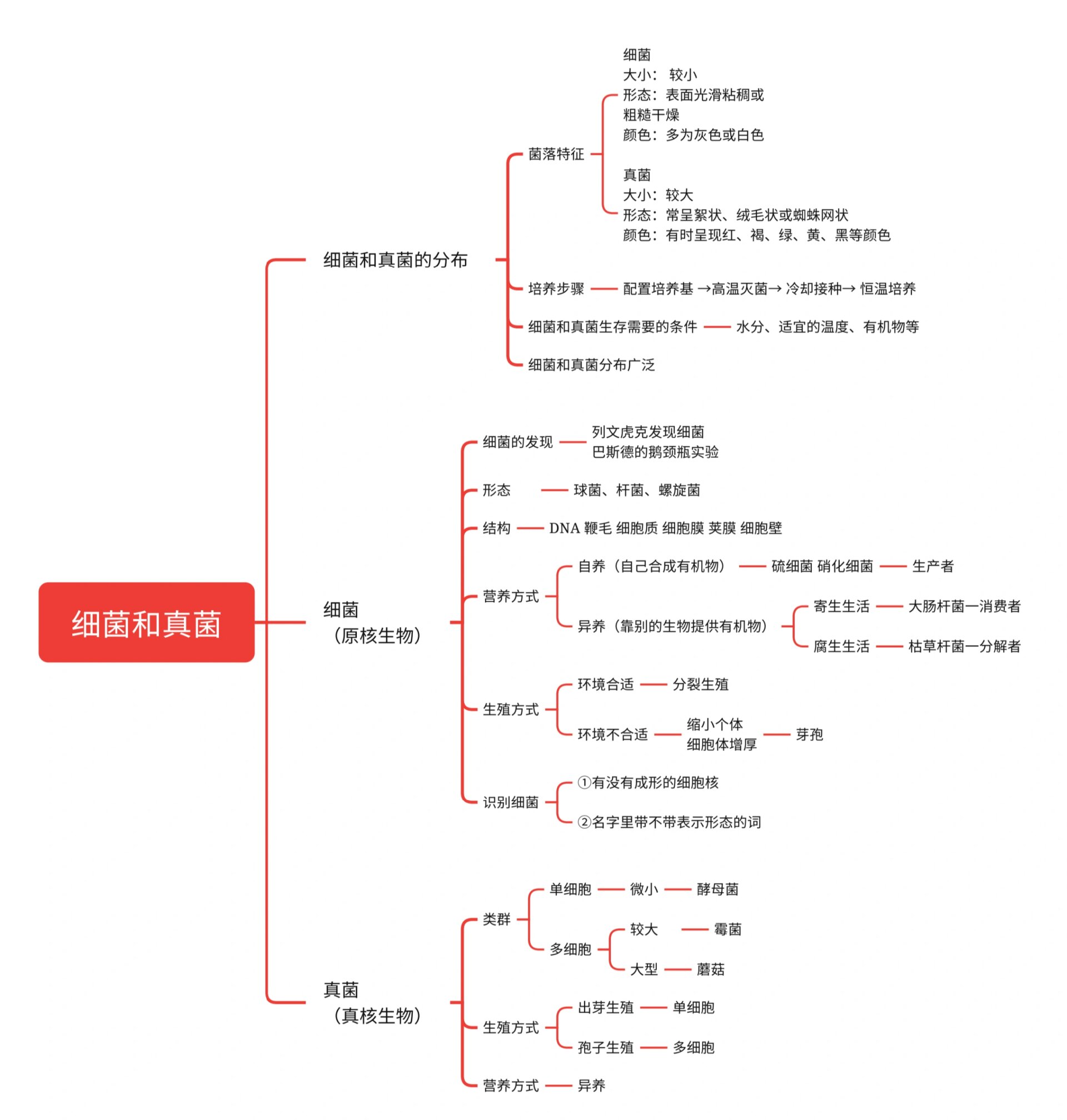 八上生物 第四章第一