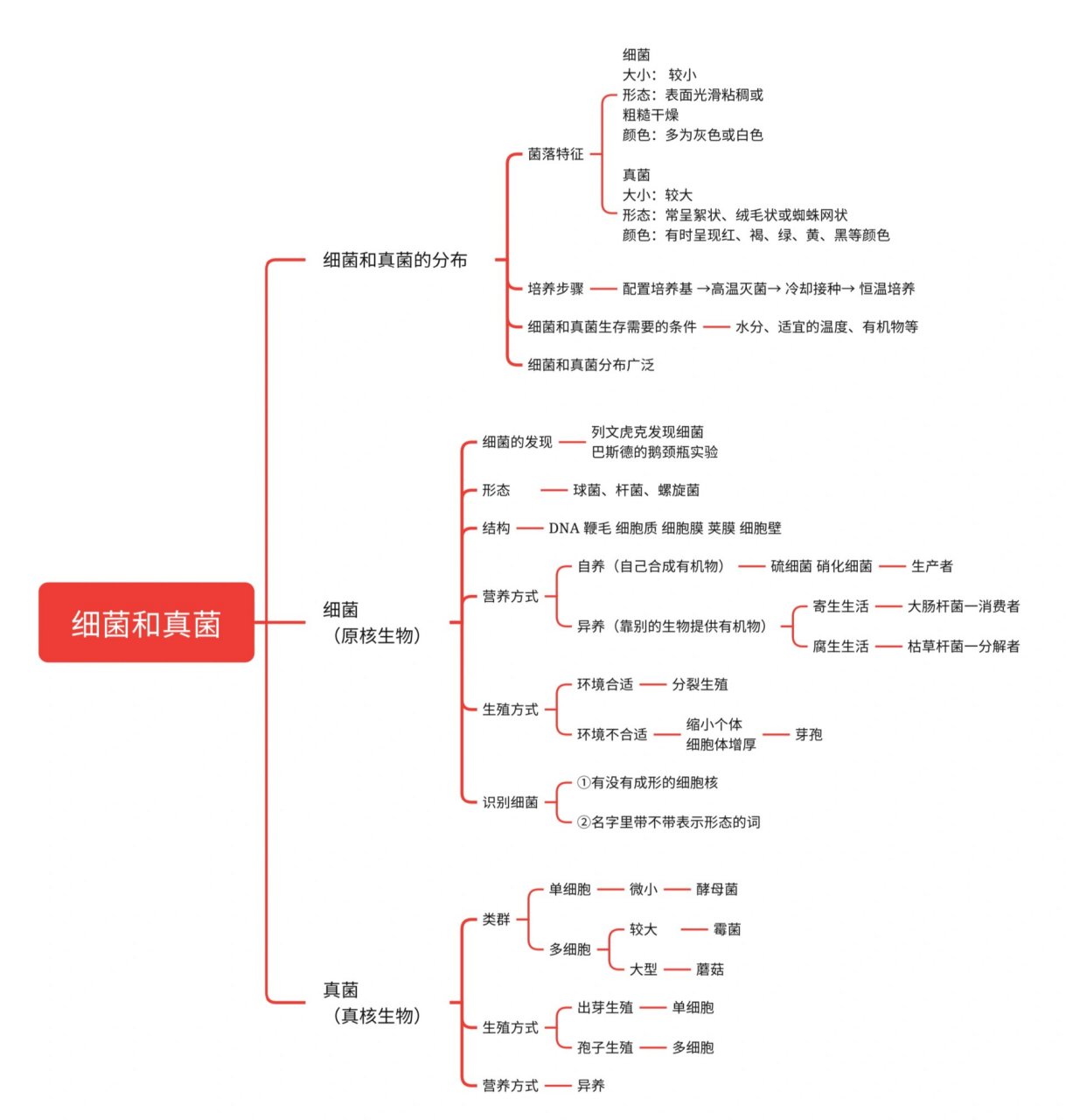 八上生物思维导图全部图片