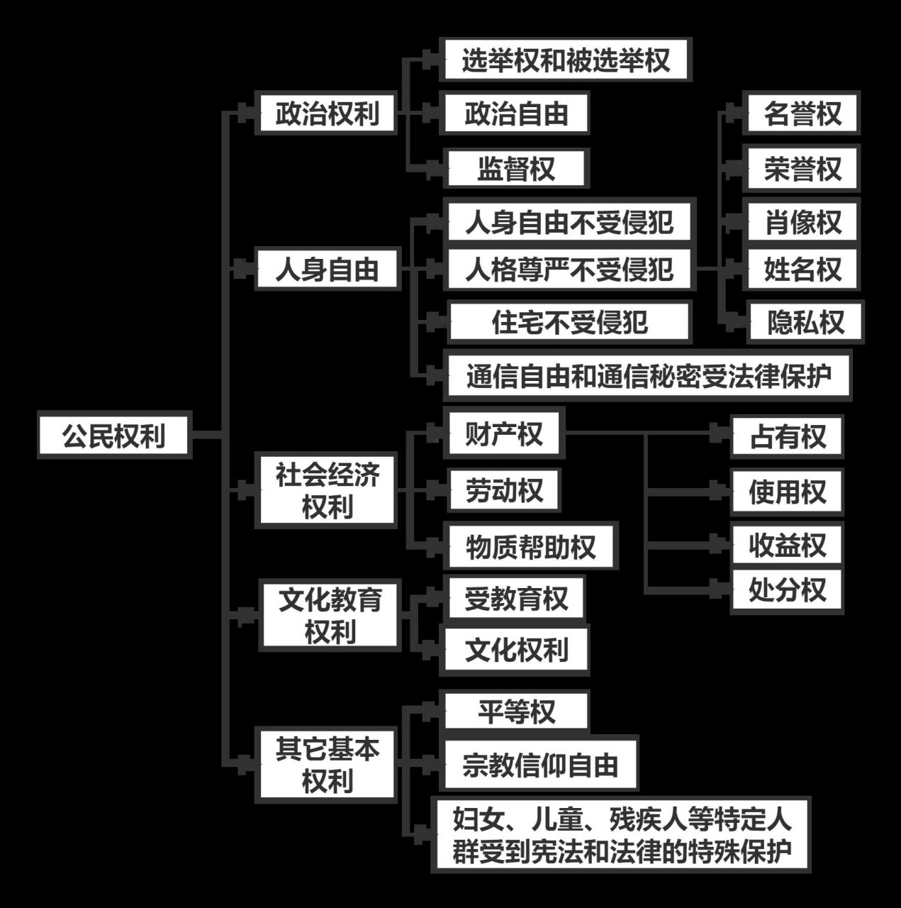 公民基本权利树状图图片