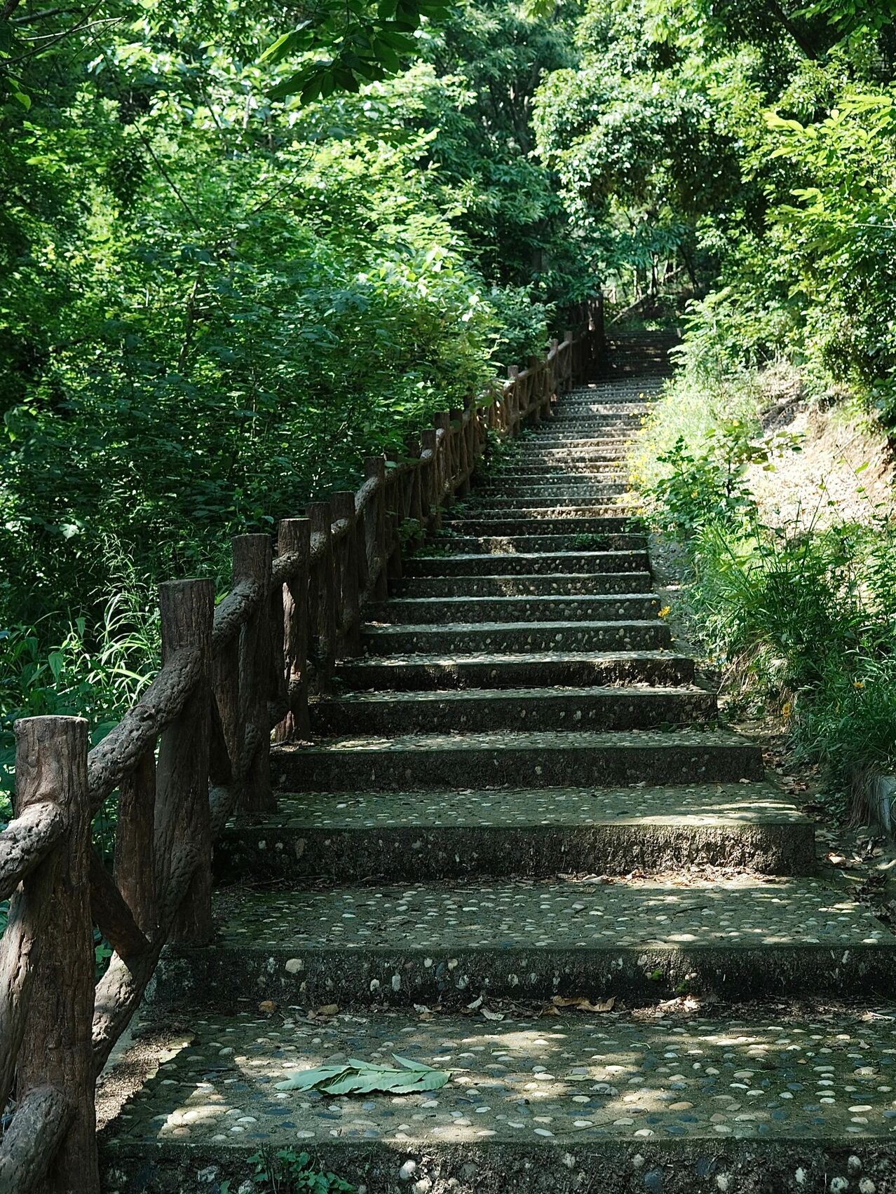 100个武汉玩乐计划