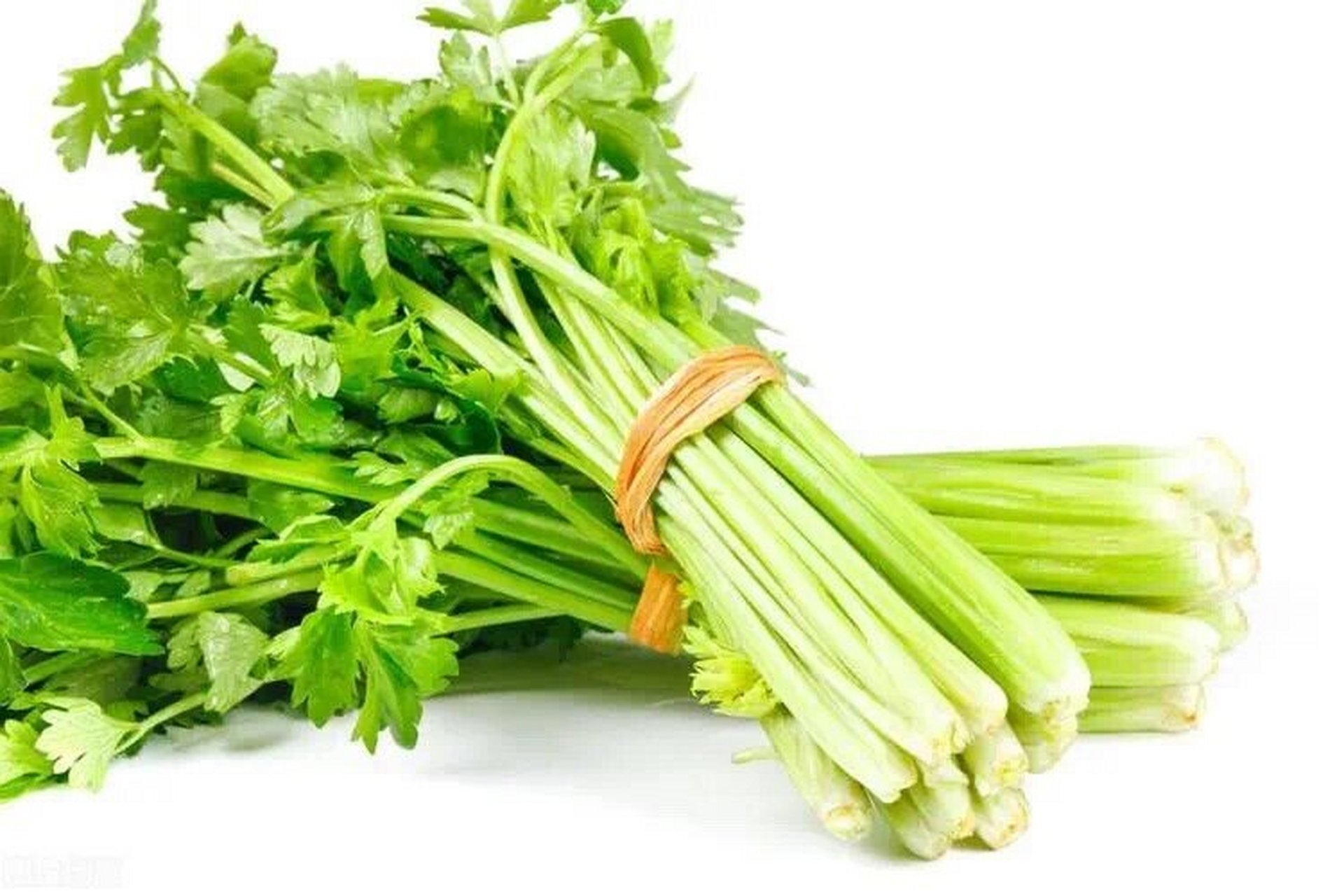 芹菜 【释名】或:水芹,水英,楚葵 芹菜按生长的环境分为水芹和旱芹.