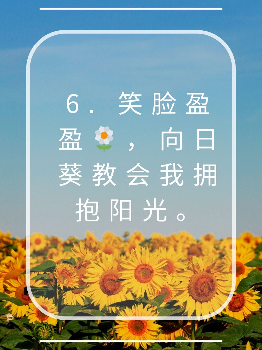 向日葵花语经典短句 1  向日葵 阳光是我的信仰