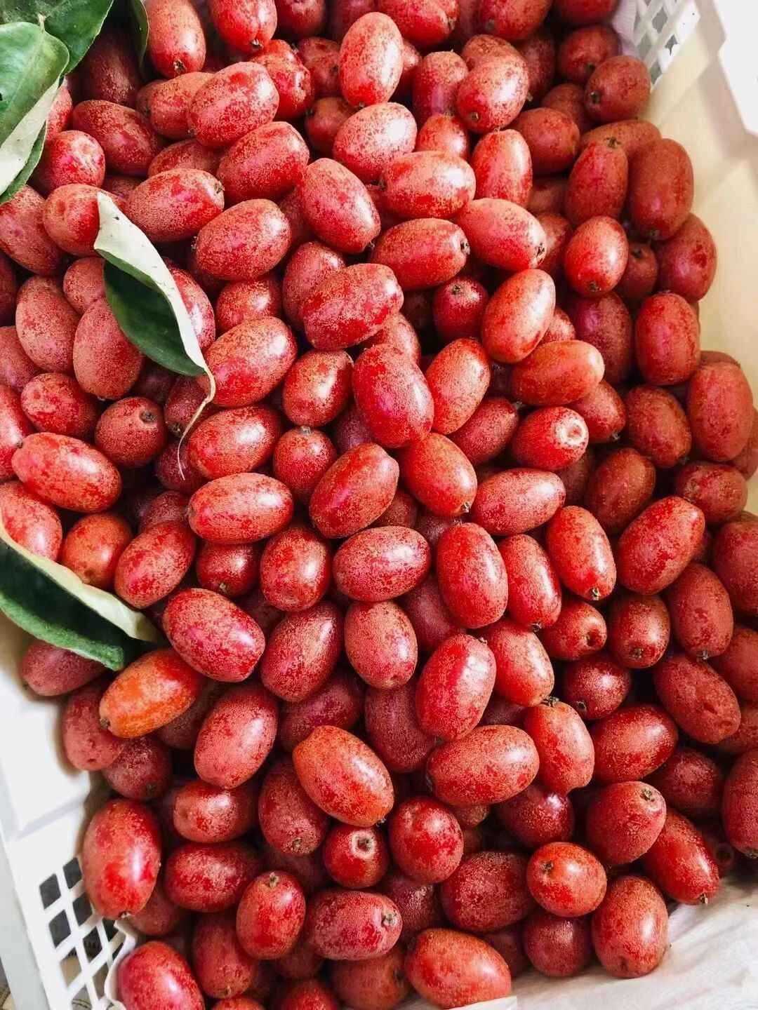 羊奶果 云南的水果可以拌着吃