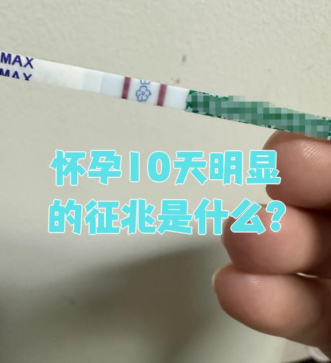 怀孕10天最明显的征兆就是月经停止.如果查血hcg,会发现数值升高