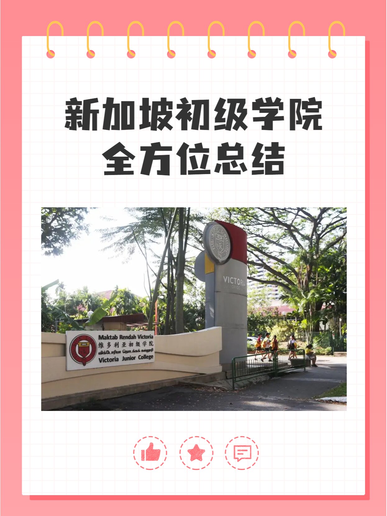 新加坡初级学院全方位总结