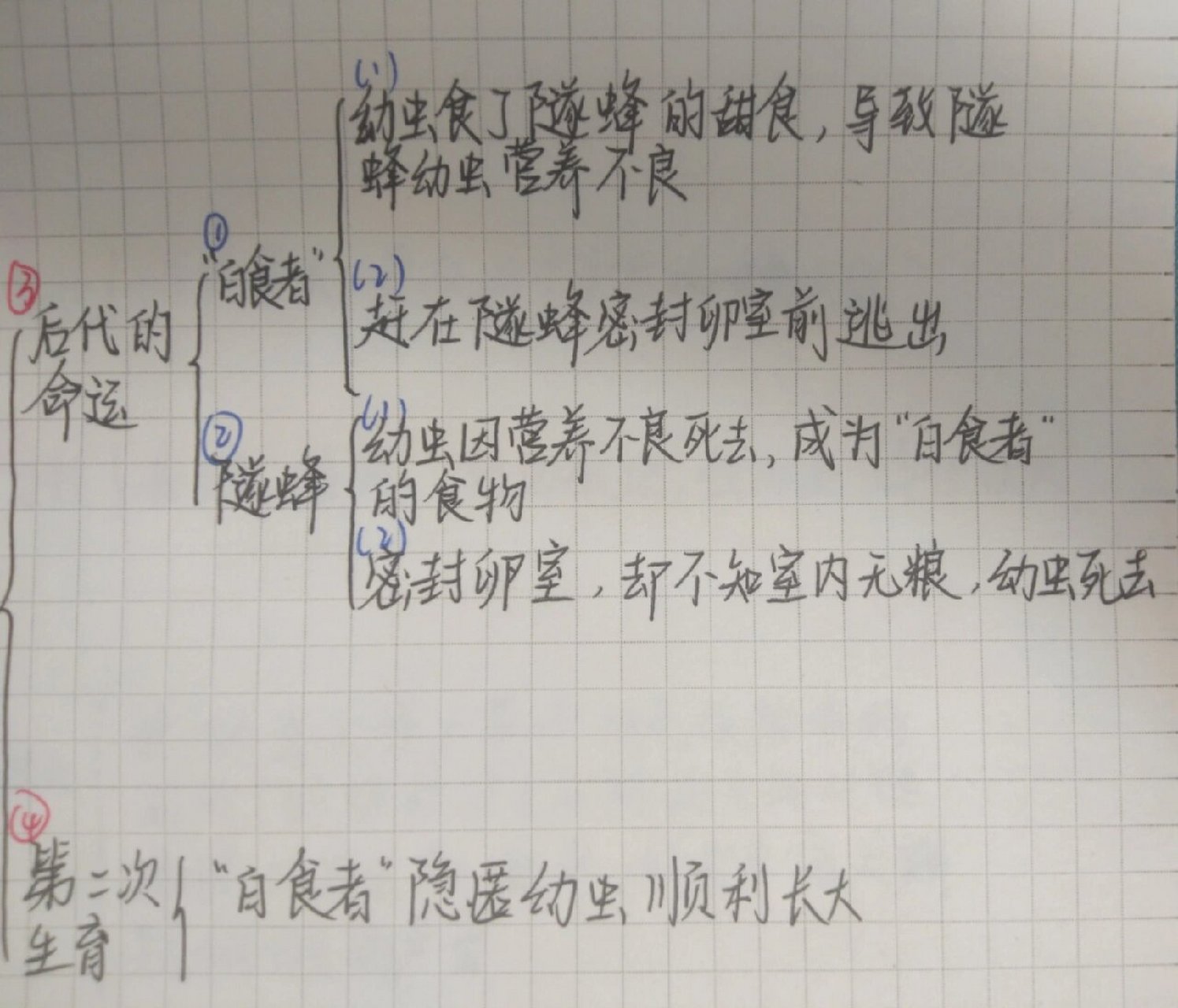 《昆虫记》思维导图 隧蜂