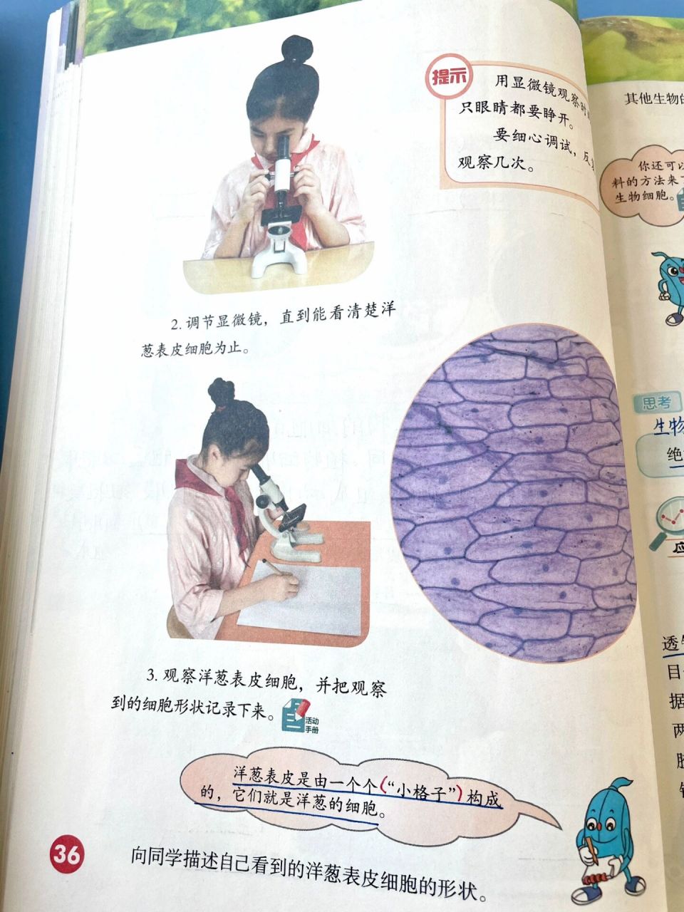 五年级下册科学笔记 河北人民教育出版社(石家庄) 五年级下册科学笔记