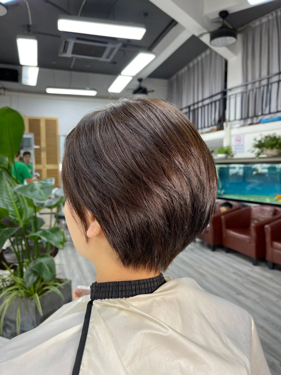 你们要看的短发后脑勺照片来啦96 特意让理发师给我拍的,快点夸我